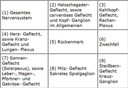 Die Anwendung der alchemistischen Essenzen