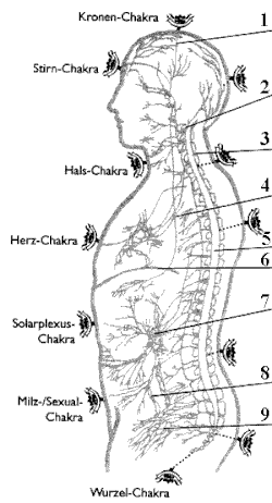 Die Anwendung der alchemistischen Essenzen
