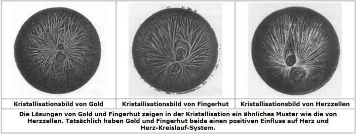 Kristallisationsbilder
