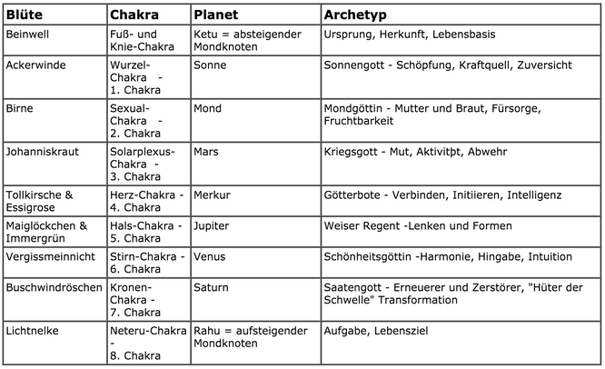 Biopulsar-Reflexograph nach der Anwendung